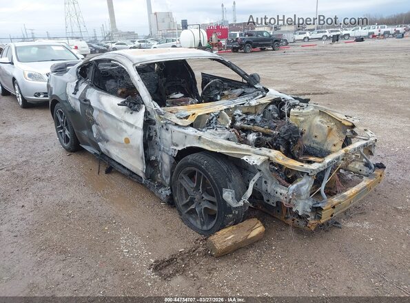 1FA6P8TH5P5100877 2023 FORD MUSTANG Gray Вид спереду