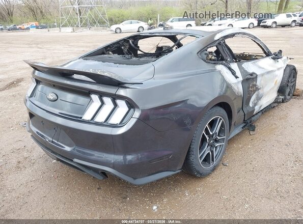 1FA6P8TH5P5100877 2023 FORD MUSTANG Gray Задня права чверть