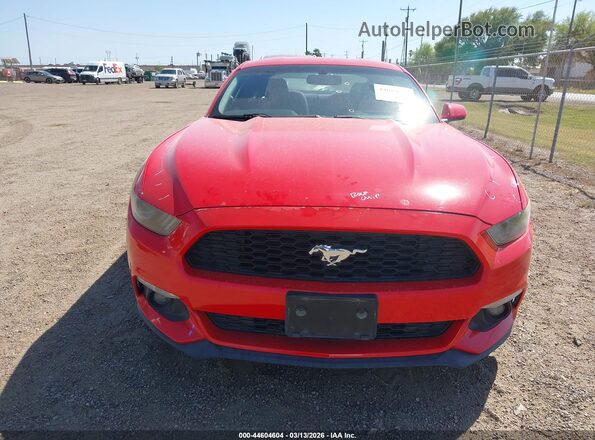 1FA6P8TH6G5260573 2016 FORD MUSTANG Red Vista interior trasera