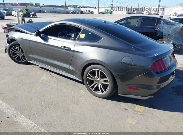 1FA6P8TH7H5205020 2017 FORD MUSTANG Gray Tył lewy