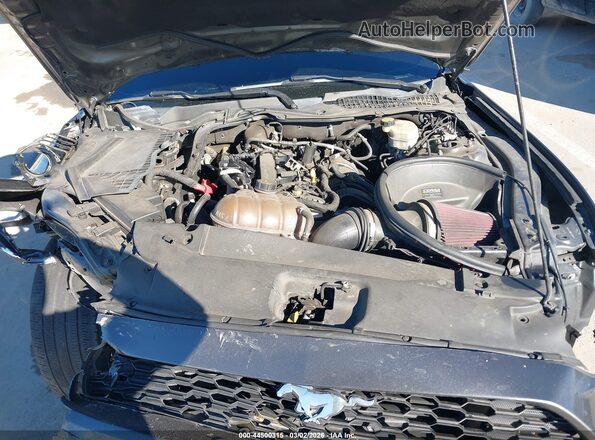 1FA6P8TH7H5205020 2017 FORD MUSTANG Gray Widok z tyłu