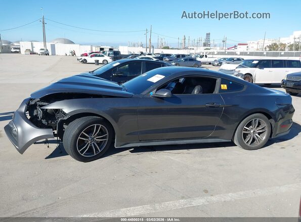 1FA6P8TH7H5205020 2017 FORD MUSTANG Gray Widok wnętrza z tyłu