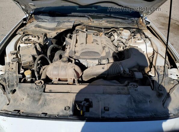1FA6P8TH7K5175668 2019 FORD MUSTANG White 