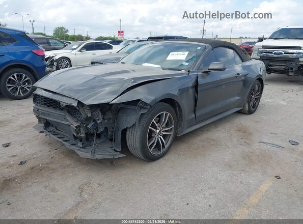 1FATP8UH1H5295265 2017 FORD MUSTANG Gray 