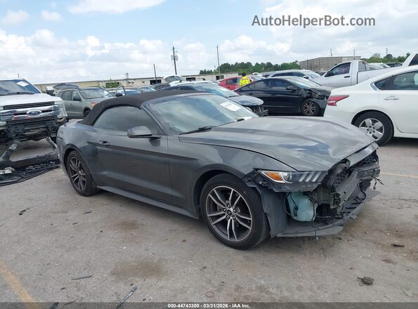 1FATP8UH1H5295265 2017 FORD MUSTANG Gray 