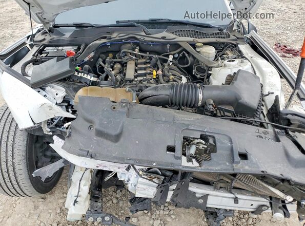1FATP8UH3M5122471 2021 FORD MUSTANG White Սալոնի հետևի տեսք