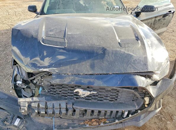 1FATP8UH3P5100569 2023 FORD MUSTANG Black 
