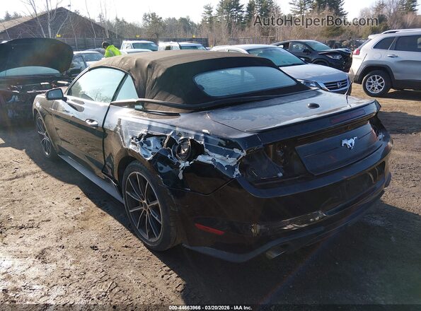 1FATP8UH9K5188729 2019 FORD MUSTANG Черный Задняя левая четверть