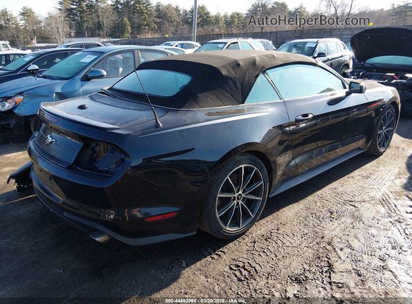 1FATP8UH9K5188729 2019 FORD MUSTANG Черный Задняя правая четверть