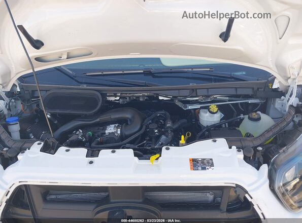1FBAX2Y82TKA55052 2026 FORD PASSENGER White უკანა ხედი