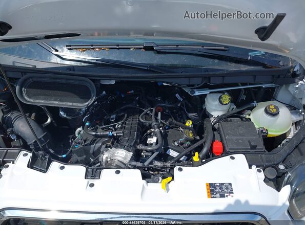 1FBAX2YG5TKA24806 2026 FORD PASSENGER White Widok z tyłu