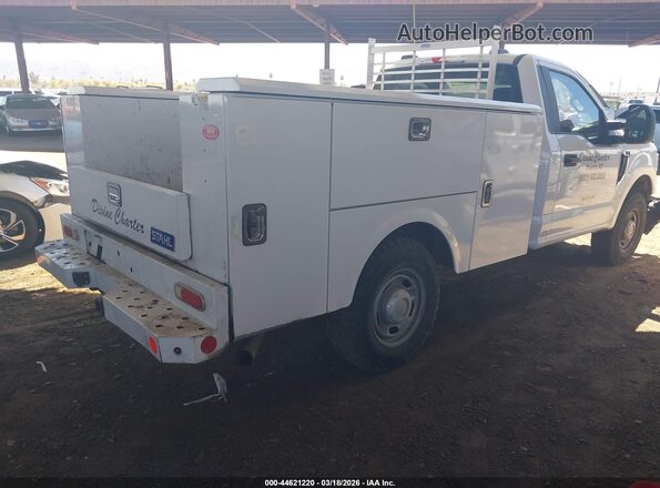 1FDBF2A67MED46069 2021 FORD F-250 Белый Задняя правая четверть