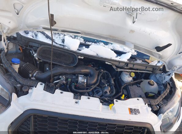 1FDBF6Z84RKB29634 2024 FORD TRANSIT-350 White Widok z tyłu