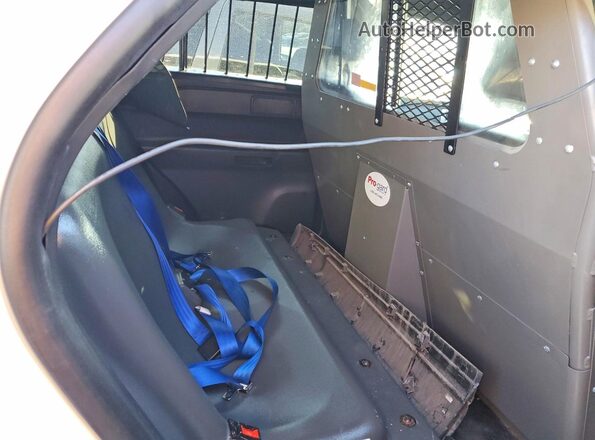 1FM5K8AB4MGC33967 2021 FORD FORD EXPLORER Белый Вид задней части салона