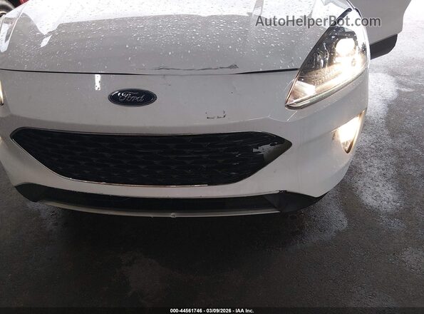 1FMCU0H65LUB89327 2020 FORD ESCAPE White Դիմացի տեսք