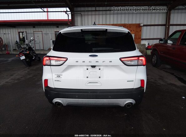 1FMCU0H65LUB89327 2020 FORD ESCAPE White 