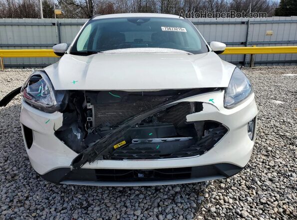 1FMCU0H65MUB29355 2021 FORD ESCAPE White Widok z przodu