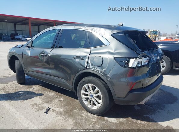 1FMCU9G62LUB19032 2020 FORD ESCAPE Gray Задня ліва чверть