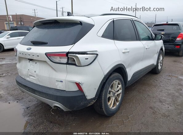 1FMCU9G65LUA99522 2020 FORD ESCAPE White 