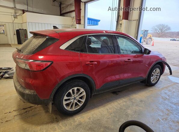 1FMCU9G69MUB03556 2021 FORD ESCAPE Red უკანა მარჯვენა