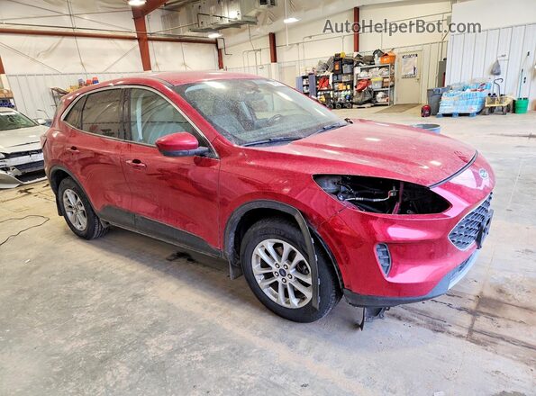 1FMCU9G69MUB03556 2021 FORD ESCAPE Red წინა მარჯვენა