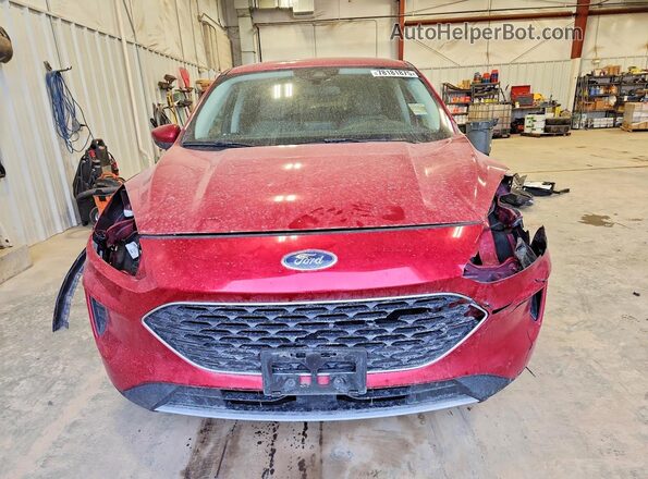 1FMCU9G69MUB03556 2021 FORD ESCAPE Red წინა ხედი