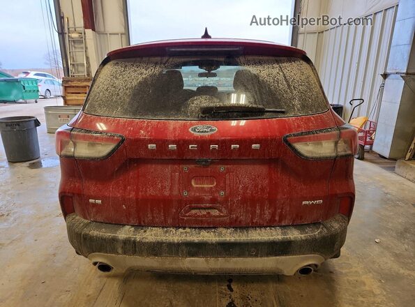 1FMCU9G69MUB03556 2021 FORD ESCAPE Red უკანა ხედი