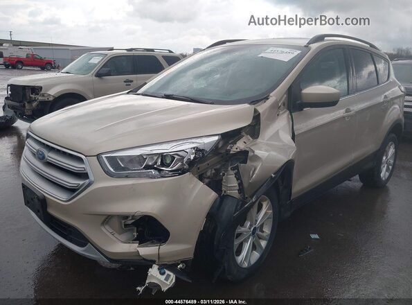 1FMCU9GD5HUB00478 2017 FORD ESCAPE Tan Դիմացի տեսք