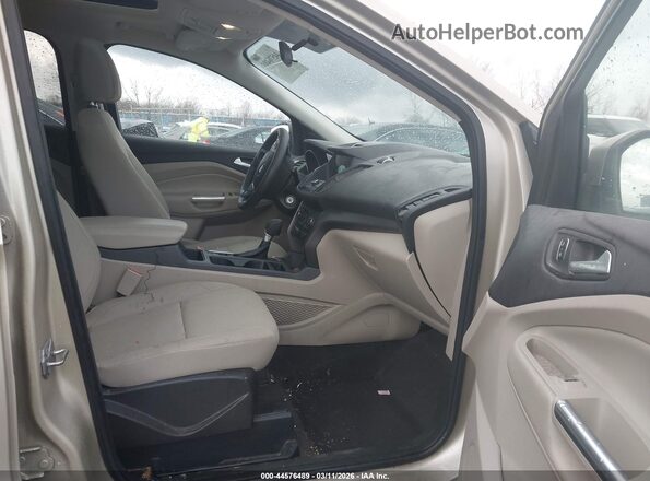 1FMCU9GD5HUB00478 2017 FORD ESCAPE Tan Սալոնի դիմացի տեսք