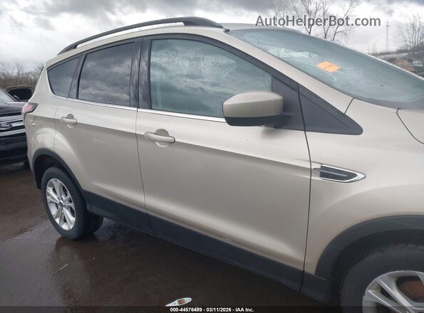 1FMCU9GD5HUB00478 2017 FORD ESCAPE Tan Սալոնի հետևի տեսք