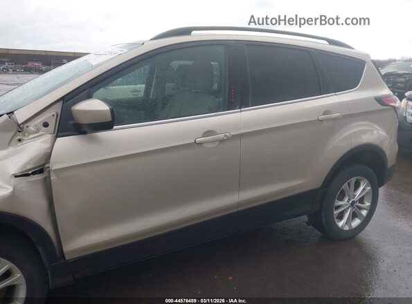 1FMCU9GD5HUB00478 2017 FORD ESCAPE Tan Սալոնի 360 աստիճան տեսք