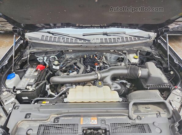 1FMJK1M87SEA09350 2025 FORD EXPEDITION Black Vista del compartimento del motor