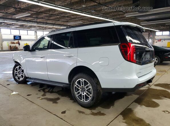 1FMJU1J86SEA43522 2025 FORD EXPEDITION Gray Trasero izquierdo