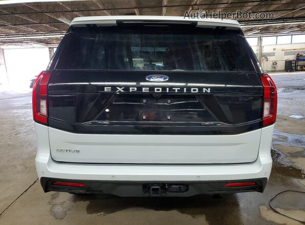 1FMJU1J86SEA43522 2025 FORD EXPEDITION Gray Vista trasera