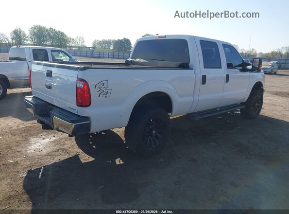 1FT7W2B67GEB84408 2016 FORD F-250 Белый Задняя правая четверть