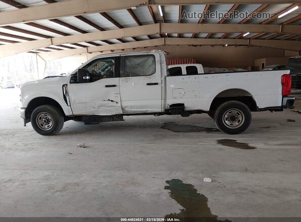 1FT7W2BA3REE02464 2024 FORD F-250 White 