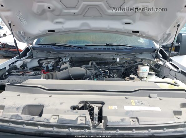 1FTBF2AA1RED49839 2024 FORD F-250 White Vista trasera