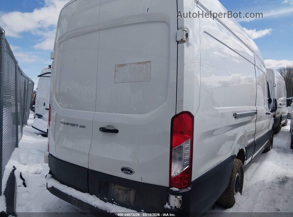 1FTBR3X82PKB45258 2023 FORD TRANSIT-250 White Tył prawy