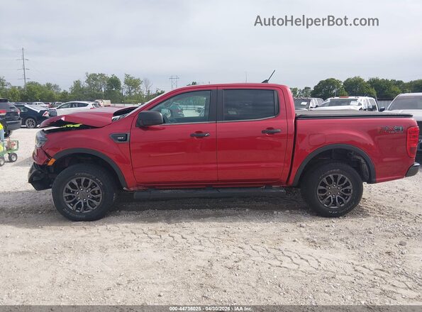 1FTER4FH4MLD02895 2021 FORD RANG Red 360 interior view