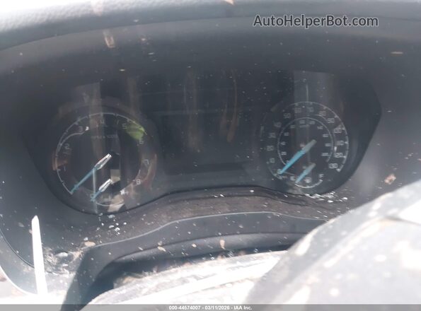 1FTER4FH7KLA97604 2019 FORD RANG Gray უკანა სავარძლების ხედი