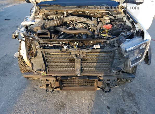 1FTER4LRXRLE71274 2024 FORD RANG White Սալոնի հետևի տեսք