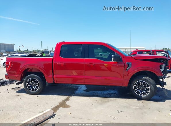 1FTEW1C50MKD21774 2021 FORD F150 Red Rear interior view