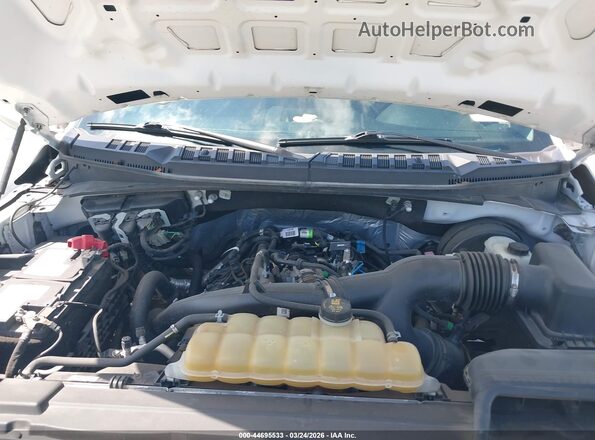 1FTEW1CP6LFC64327 2020 FORD F150 White Հետևի տեսք