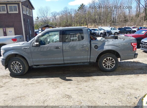 1FTEW1E45LKD37228 2020 FORD F150 Gray Սալոնի 360 աստիճան տեսք