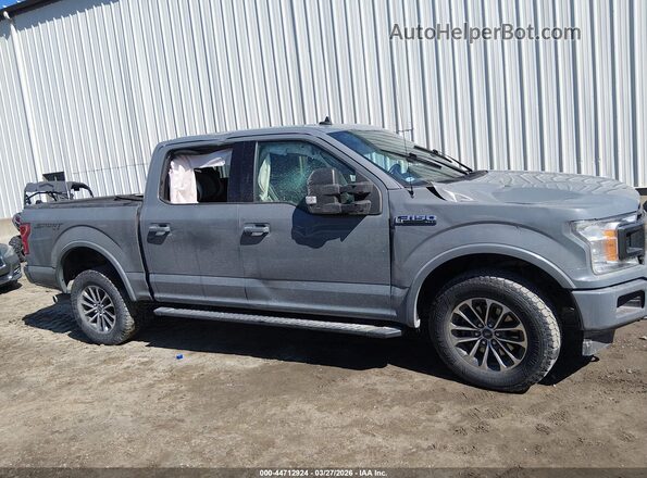 1FTEW1E45LKD37228 2020 FORD F150 Gray Սալոնի հետևի տեսք