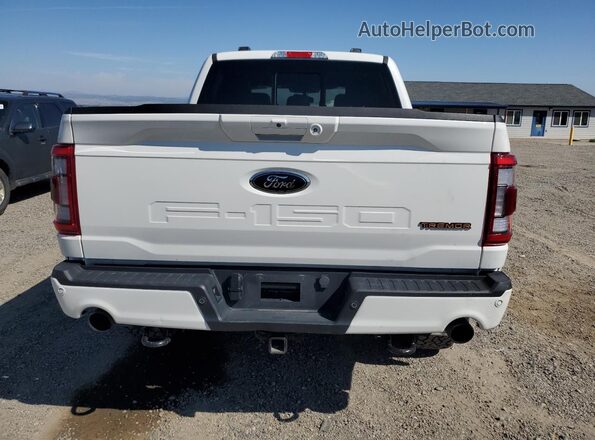 1FTEW1E80PFC94595 2023 FORD F150 White Rear view