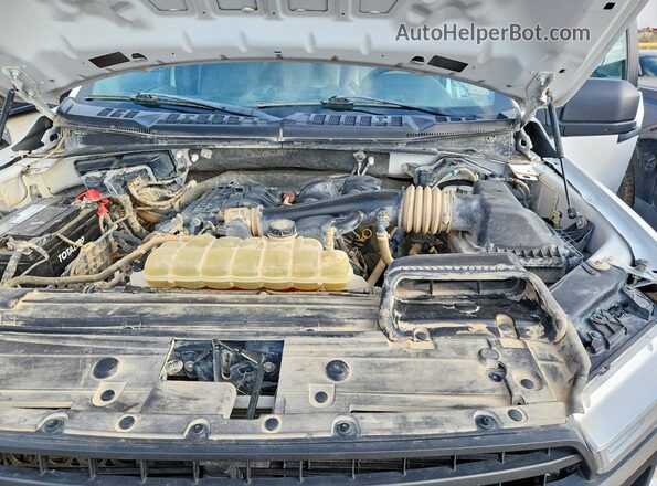 1FTEW1EB1LKD36723 2020 FORD F150 White Вид задньої частини салону