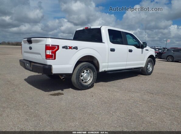 1FTEW1EB3KKC24827 2019 FORD F150 White Rear right