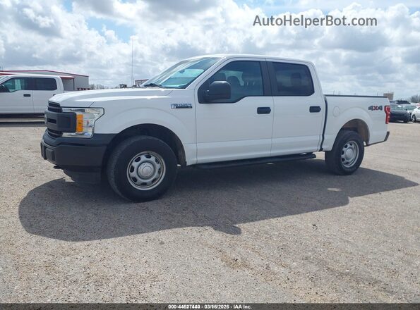 1FTEW1EB3KKC24827 2019 FORD F150 White Front left