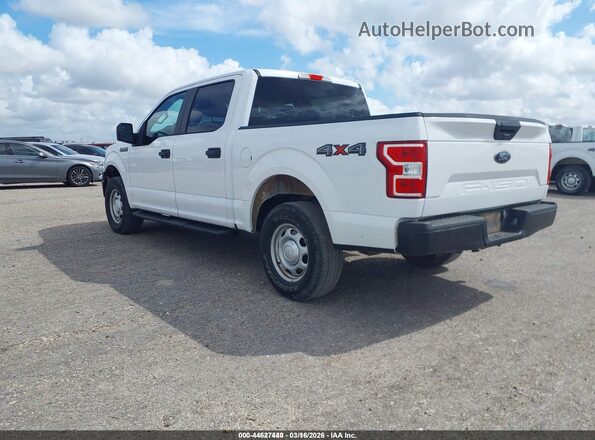1FTEW1EB3KKC24827 2019 FORD F150 White Rear left